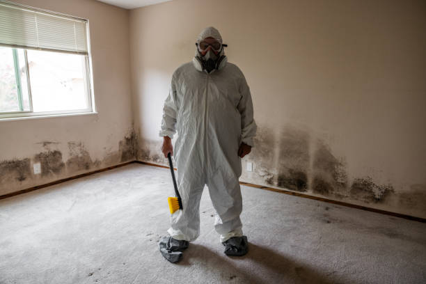 Best White Mold Remediation in Lake Mary Jane, FL